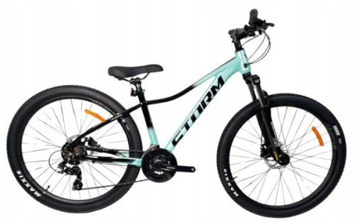 mtb storm shark lady 2.0.jpg